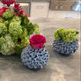 Hydrangea Vases-The Write Choice