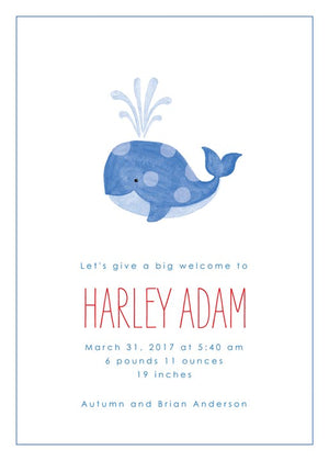 Boy Birth Announcements-Invitations-The Write Choice